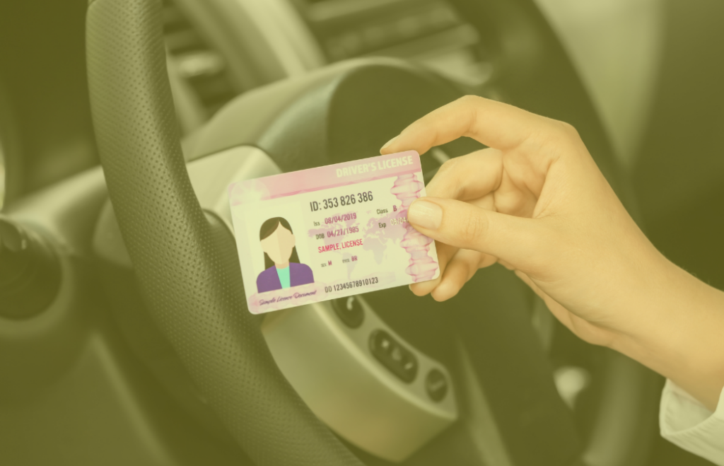 A person holding their drivers license